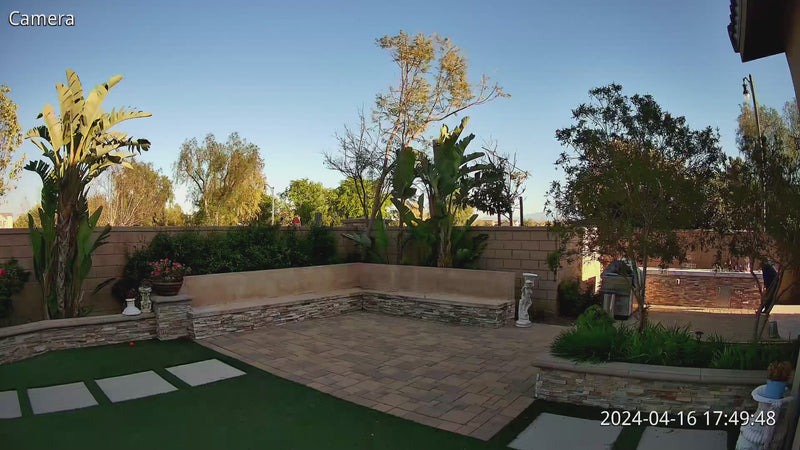 4COVR-Footage-Quiet backyard capture